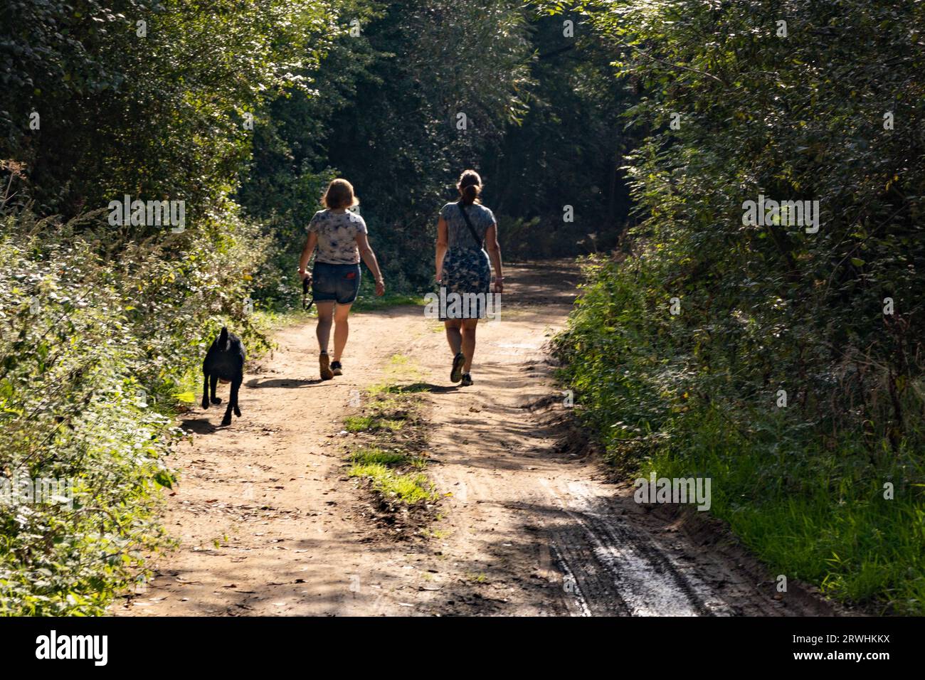 Due donne che camminano con il loro cane al parco acquatico Cotswolds Foto Stock