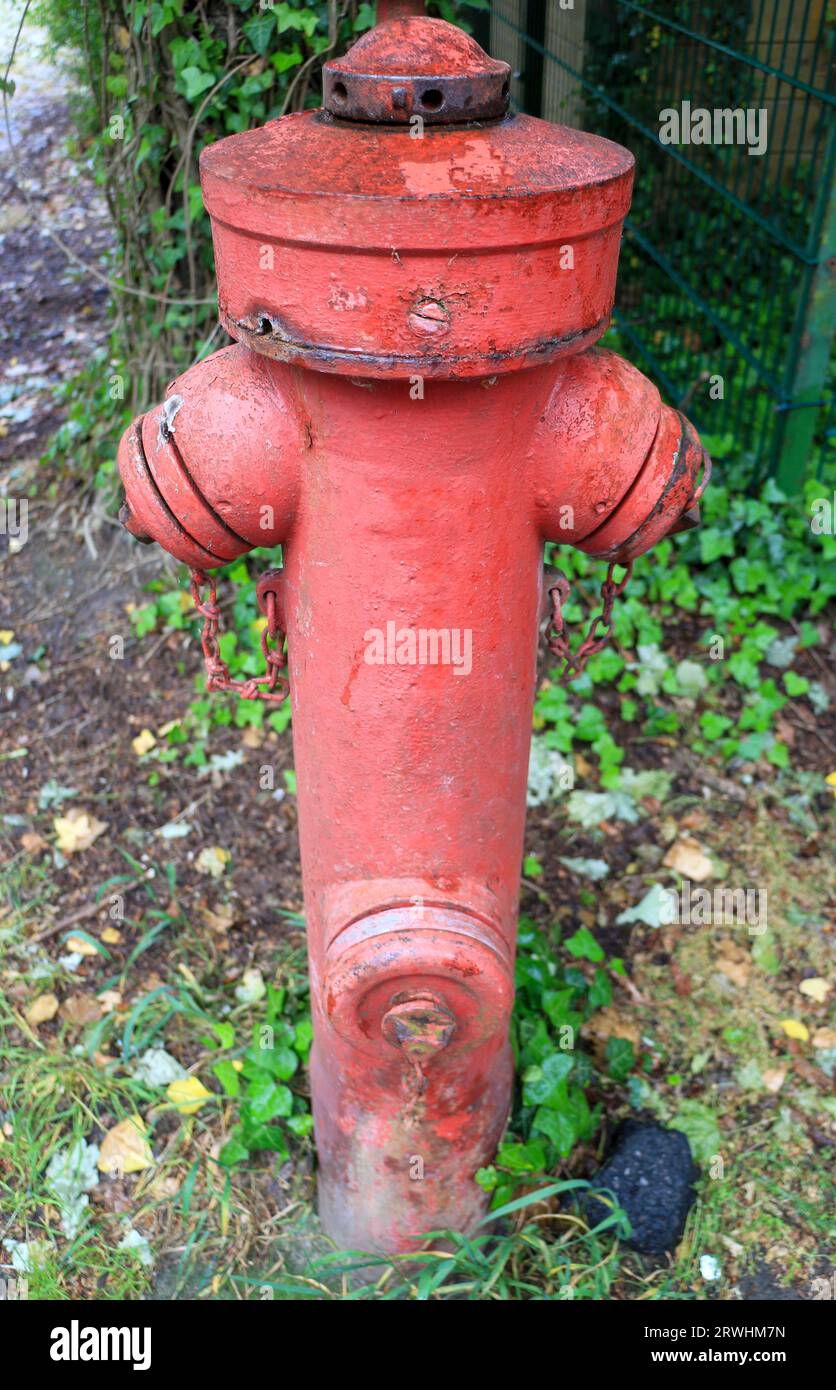 Vecchio idrante rosso arrugginito Foto Stock