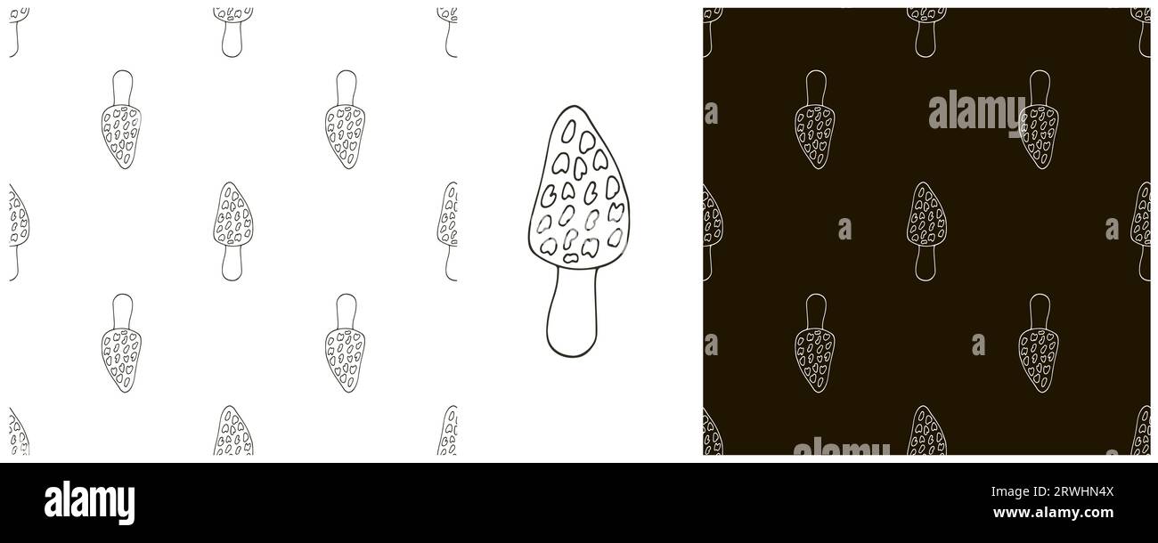 Morchella esculenta. Illustrazione monocromatica in stile disegno a mano. Crea un motivo perfetto per la cucina, il ristorante o il negozio Illustrazione Vettoriale