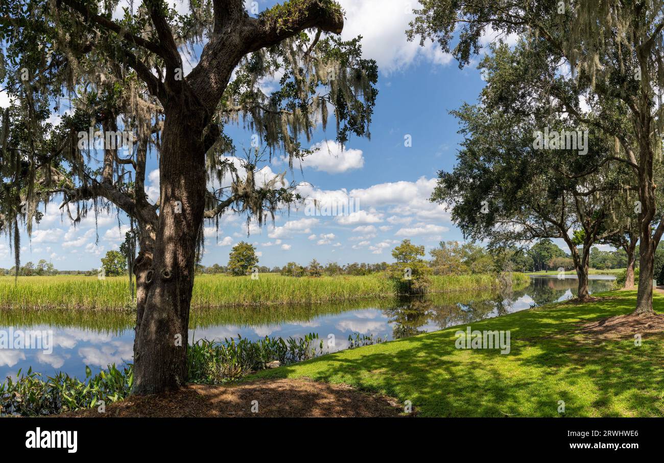 Vista panoramica delle paludi mareali e delle querce vive ricoperte di muschio spagnolo nella Carolina Lowcountry Foto Stock