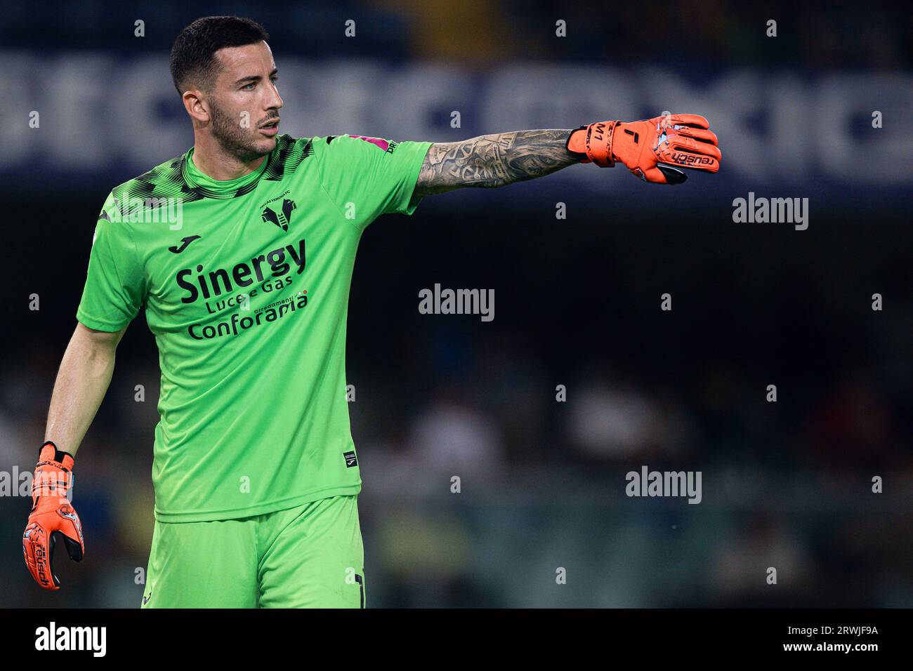 Durante la partita di Serie A tra Hellas Verona FC e Bologna FC. Foto Stock