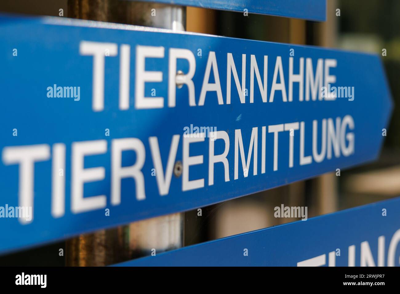 Norimberga, Germania. 11 settembre 2023. "Tierannahme - Tiervermittlung" è scritto su un cartello all'ingresso del rifugio per animali di Norimberga. Credito: Daniel Karmann/dpa/Alamy Live News Foto Stock