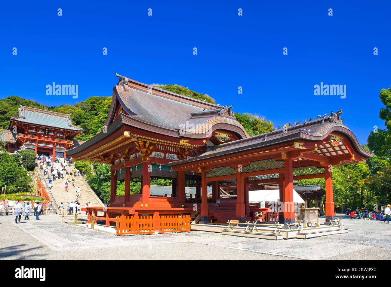 Santuario principale e Maiten (sala da ballo) del santuario Tsuruoka Hachimangu Foto Stock