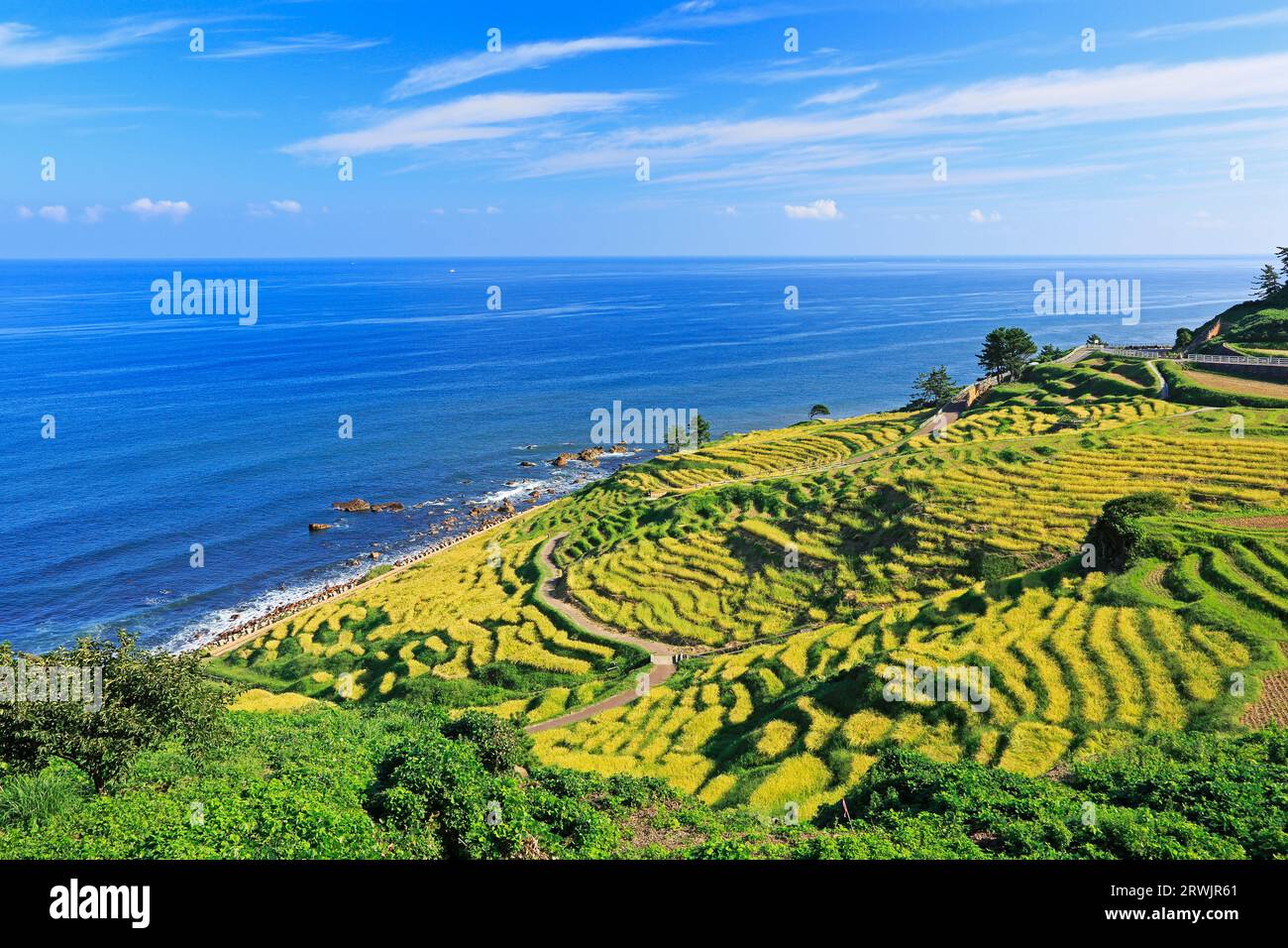 Campo di riso terrazzato a Shiraume-Senmaida Foto Stock