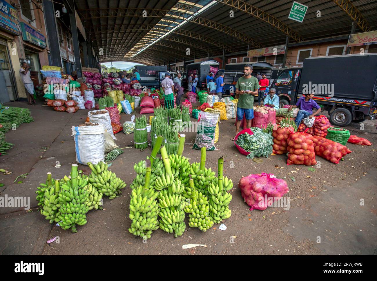 Un sacco di frutta e verdura fresca in attesa di essere venduti presso il Centro economico dedicato a Dambulla. Foto Stock