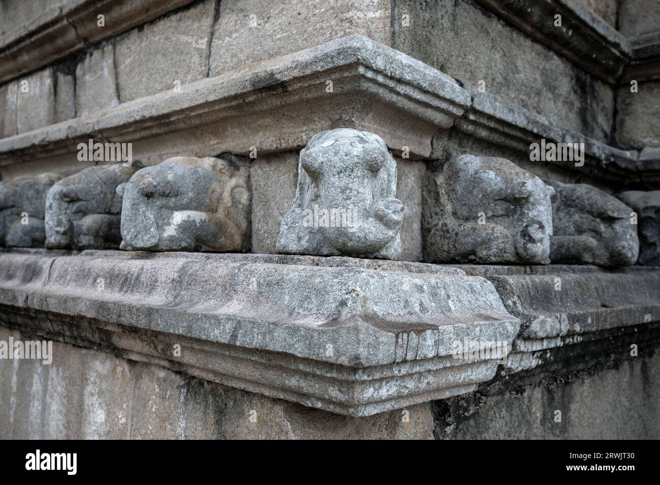 Statue di elefante in granito scolpite in pietra si trovano in un muro alla base di Mirisavetiya, il primo stupa costruito dal re Dutu Gemunu. Foto Stock