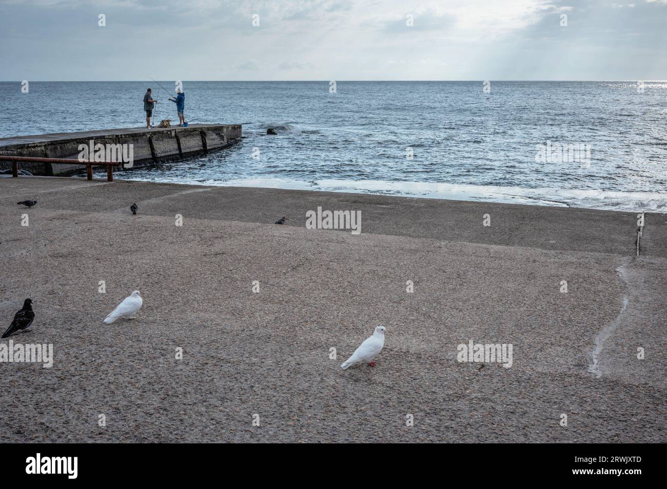 Odessa, Ucraina 15.09.2023. Nuvoloso mattino autunnale sulla spiaggia di Lanzheron a Odessa, Ucraina Foto Stock