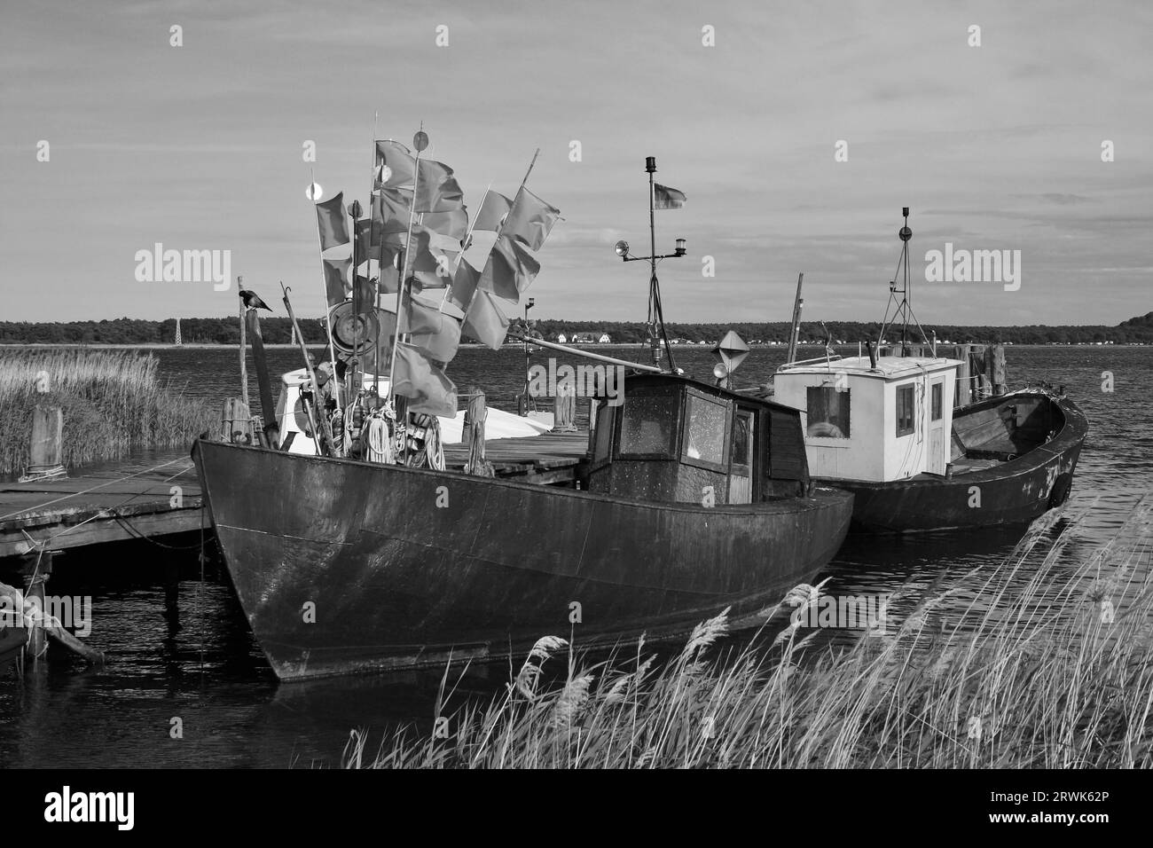 Barche da pesca nel porto di Gross Zicker, isola di Ruegen, Moenchgut, Meclemburgo-Pomerania occidentale Foto Stock