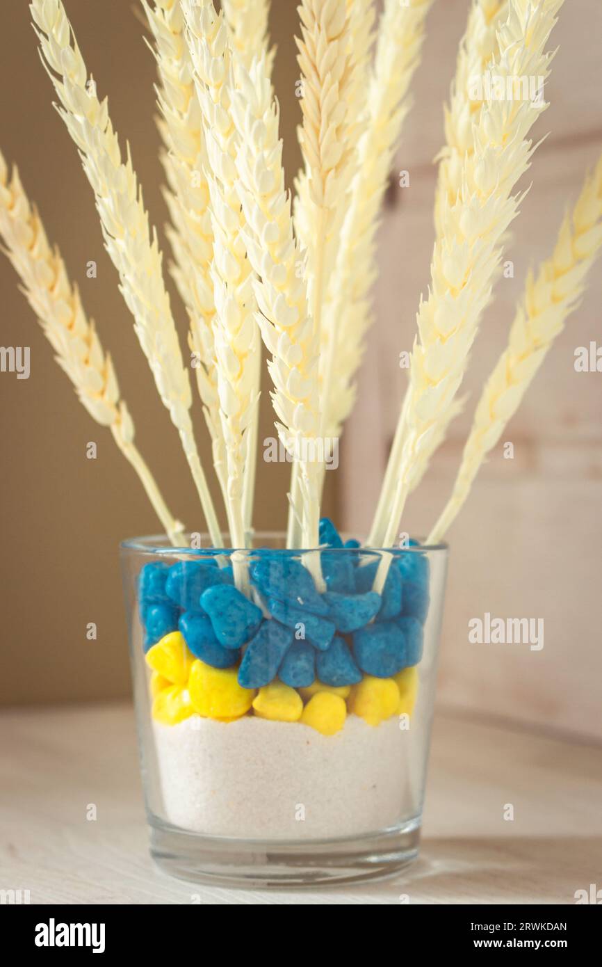 Orecchie di grano in vaso blu e giallo. Piante essiccate in vaso colorato ucraino. Grano bianco su ripiano di legno bianco. Elegante arredamento ecologico. Bouquet di cereali. Foto Stock