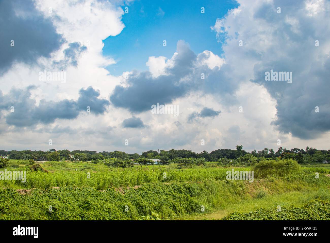Foto del campo agricolo sotto il cielo nuvoloso di Ruhitpur, Bangladesh, foto scattata il 6 settembre 2022 Foto Stock