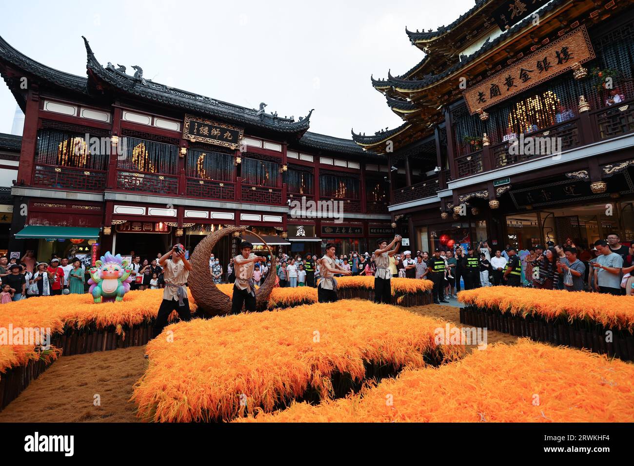 Un vibrante campo di grano che simboleggia il raccolto autunnale è allestito presso la Gold Plaza del Yuyuan Garden Mall, dove gli artisti organizzano spettacoli di danza per celebrare Foto Stock