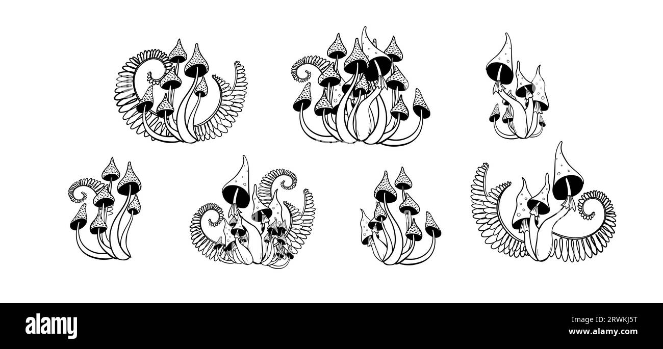 Set di magici funghi della foresta disegnati a mano, agarici di mosca e sgabelli con felci. Tatuaggio mistico lineare delle streghe, microdosaggio, isolante per illustrazione vettoriale Illustrazione Vettoriale