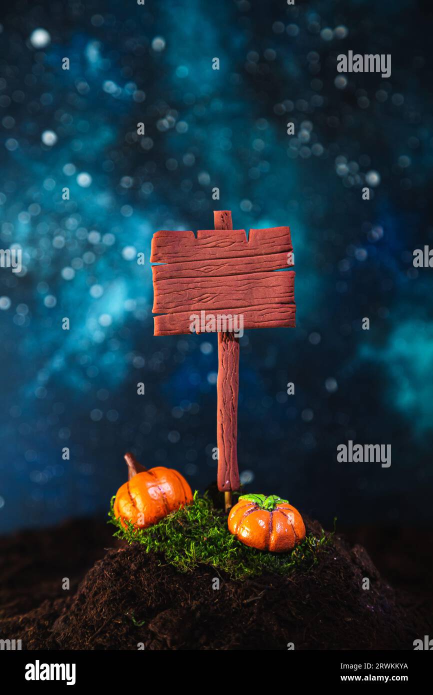 Puntatore in legno stilizzato e zucche sullo sfondo del cielo stellato. Sfondo di Halloween. Foto Stock