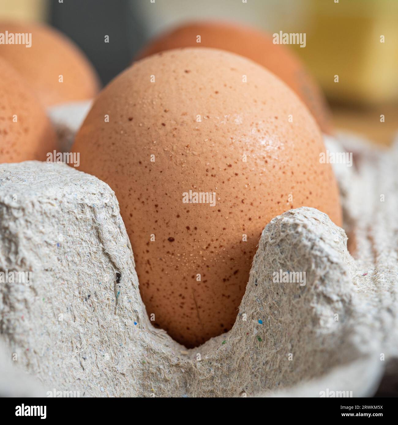 Uova per preparare gnocchi alla romana a casa a Roma, Italia Foto Stock