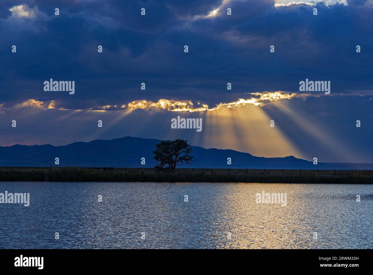 Alberi di luce solare irrompono attraverso le nuvole di tempesta sull'isola di Antelope, viste da Farmington Bay WMA, Farmington, Davis County, Utah, USA. Foto Stock