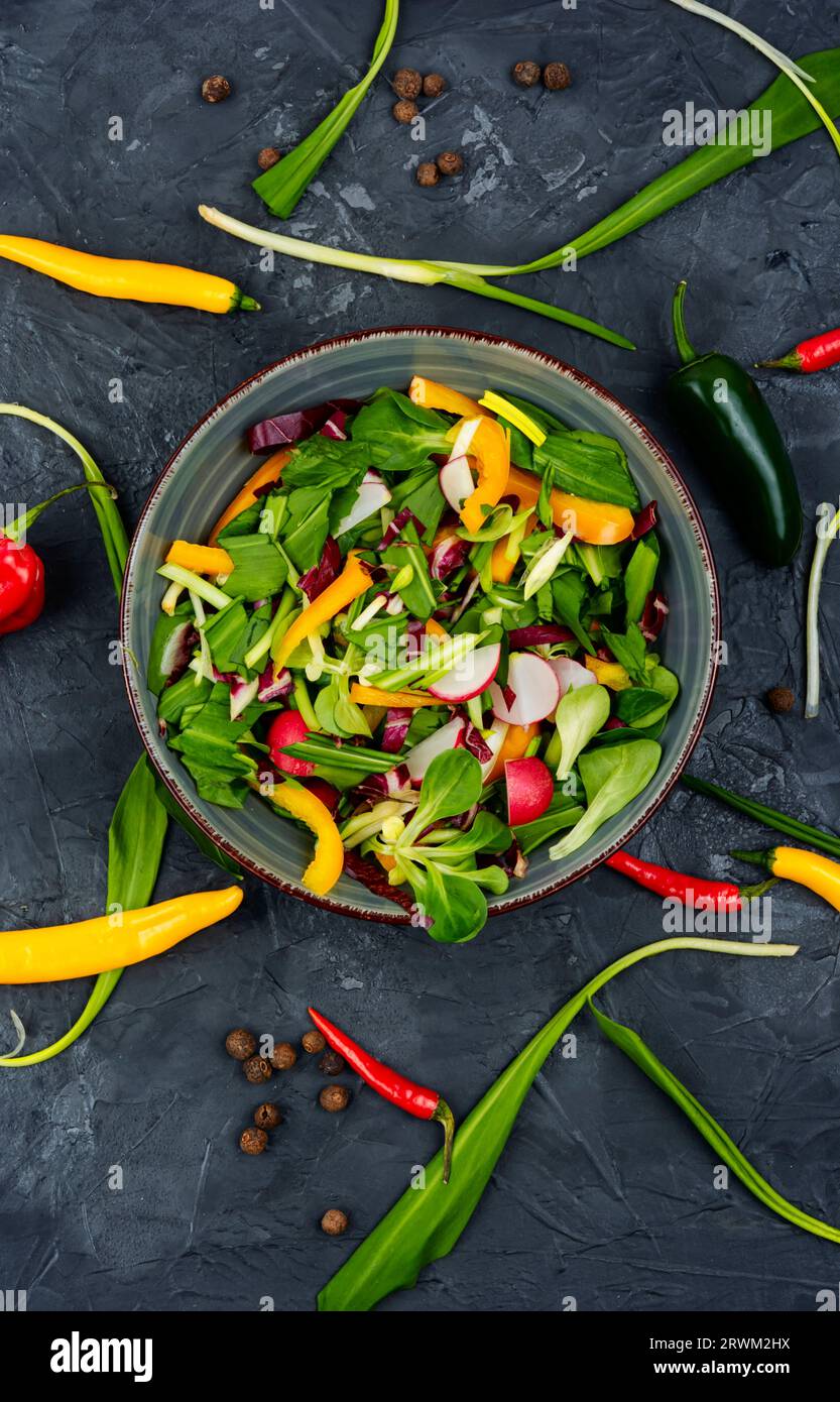 Dieta insalata verde con verdure e porro orso o foglie di aglio selvatico . Insalata di un ramson Foto Stock