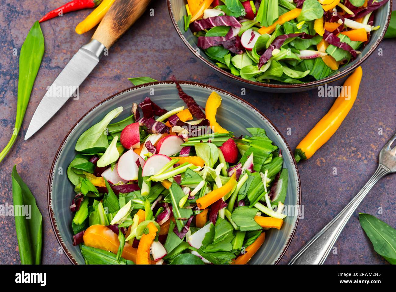 Gustosa insalata verde primaverile con verdure e porro d'orso o aglio selvatico. Allium ursinum Foto Stock