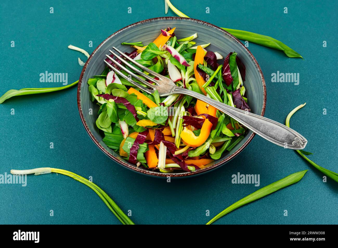 Insalata di primavera fresca con verdure, ramson di raggiera sul piatto. Concetto di cibo vegano sano. Foto Stock
