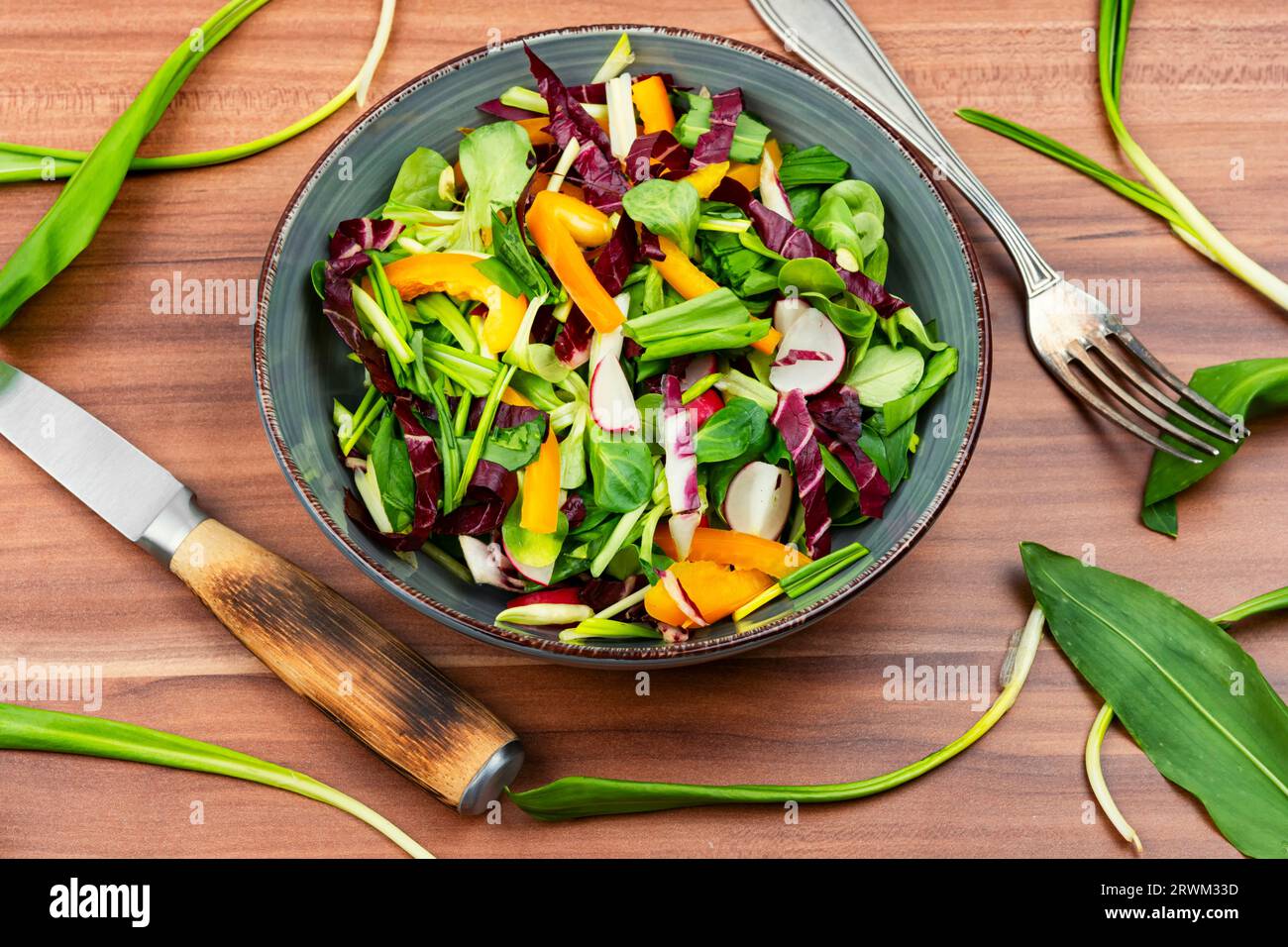 Insalata verde con verdure e porro di orso o aglio selvatico. Piante di primavera sano cibo Foto Stock
