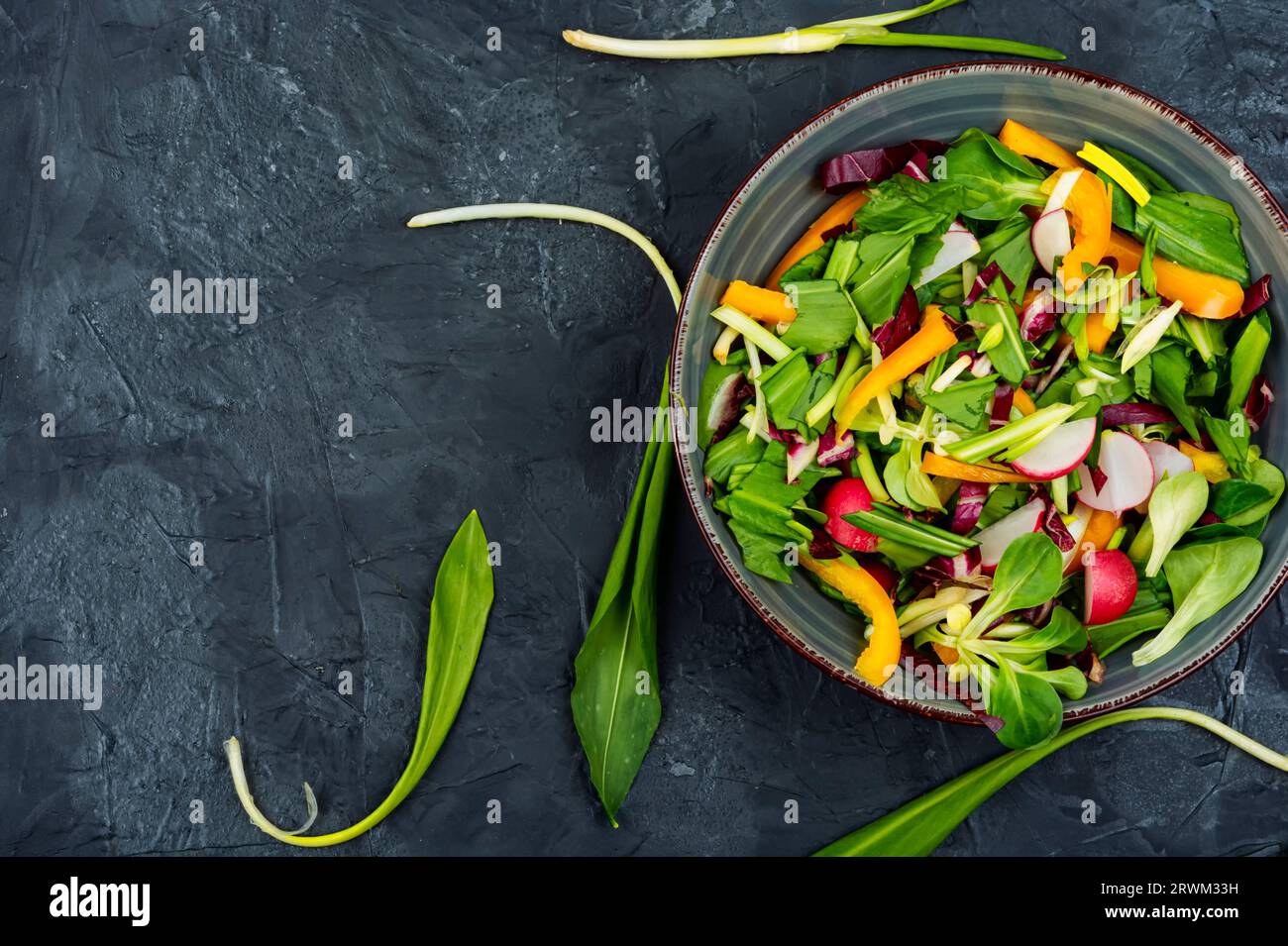 Insalata verde di primavera vitaminica con verdure e porro o aglio selvatico. Foto Stock