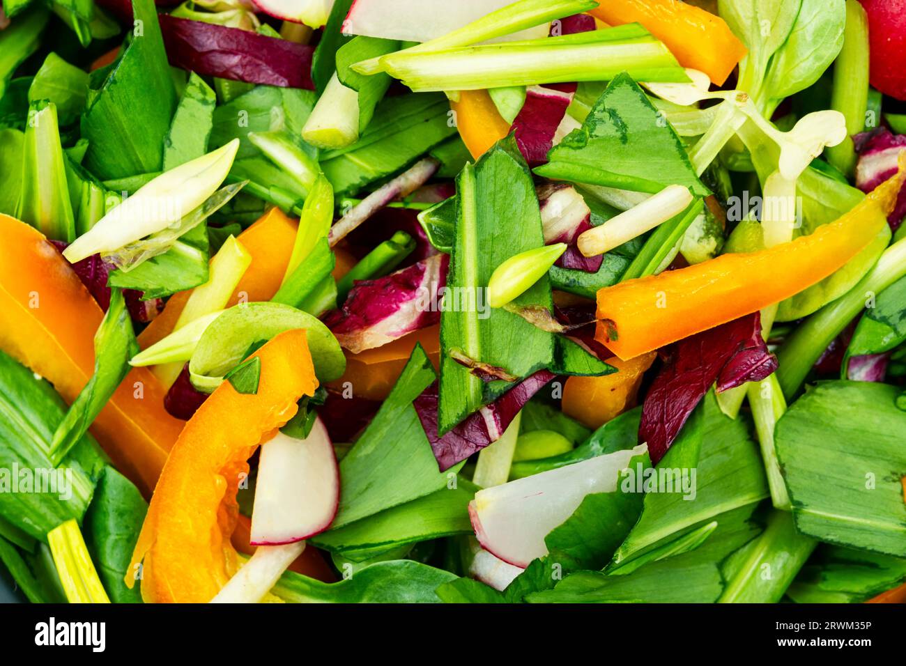 Insalata verde con verdure e porri verdi o foglie di aglio selvatico . Primo piano Foto Stock