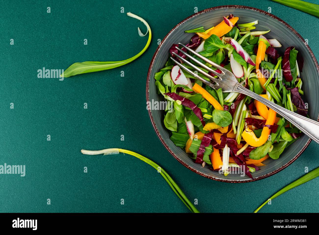 Insalata verde di primavera vitaminica con verdure e porro o aglio selvatico. Spazio per il testo Foto Stock