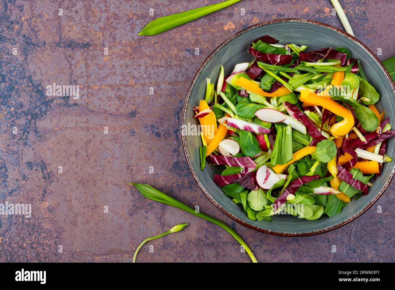 Gustosa insalata primaverile cruda con verdure e porro di orso o aglio selvatico. Spazio per il testo Foto Stock