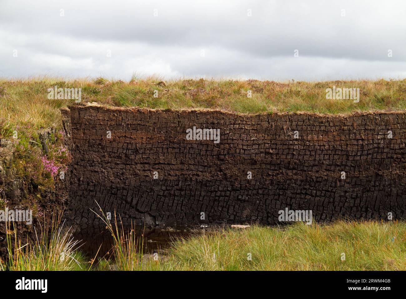 Un mucchio di blocchi di torba, tagliati di fresco, in un paesaggio irlandese Foto Stock