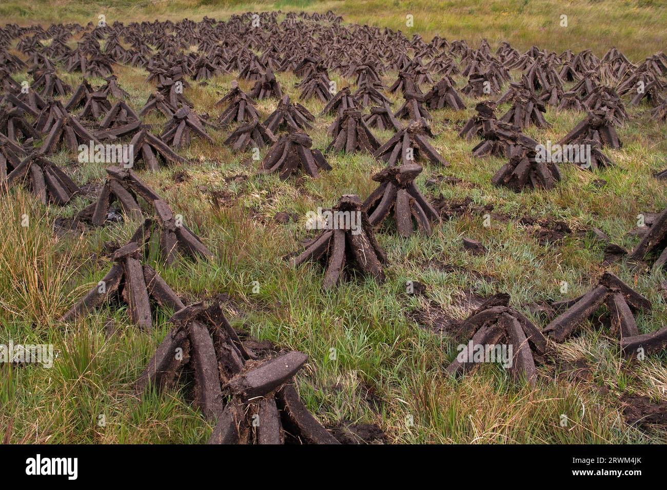 Blocchi di torba impilati, asciugati al vento e al sole. Foto Stock