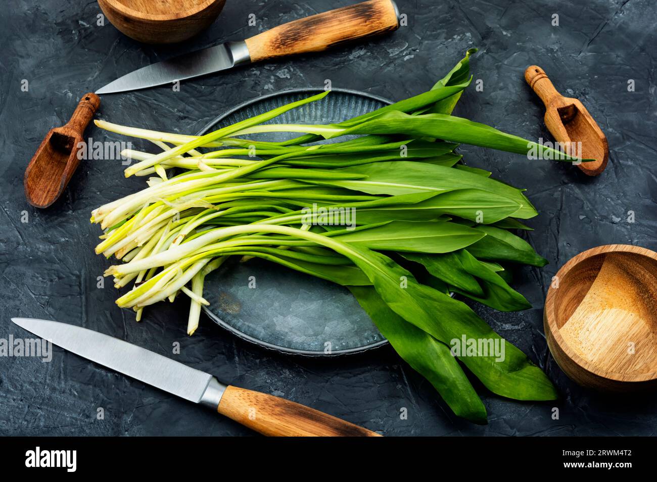 Aglio selvatico fresco, come spezia per carne, pesce e verdura . Cibo di stagione. Foto Stock