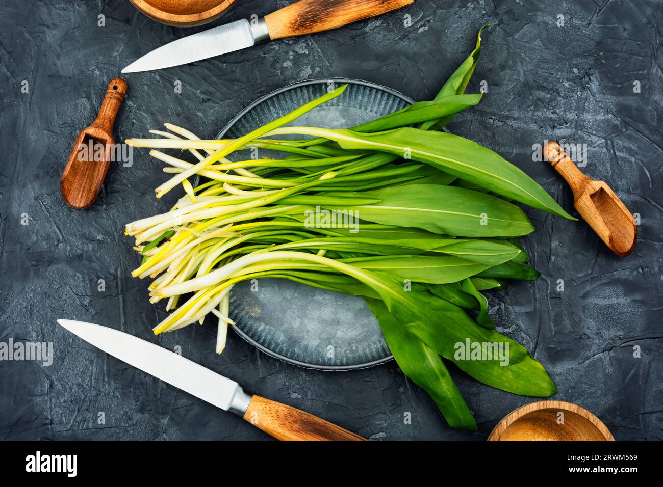 Ramson o aglio selvatico su un tavolo. Aglio selvatico, come spezia per piatti di carne, pesce e verdure Foto Stock