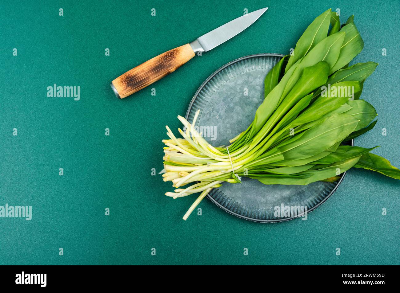 Ramson o aglio selvatico su un tavolo. Aglio selvatico, come spezia per piatti di carne, pesce e verdure. Spazio di copia Foto Stock