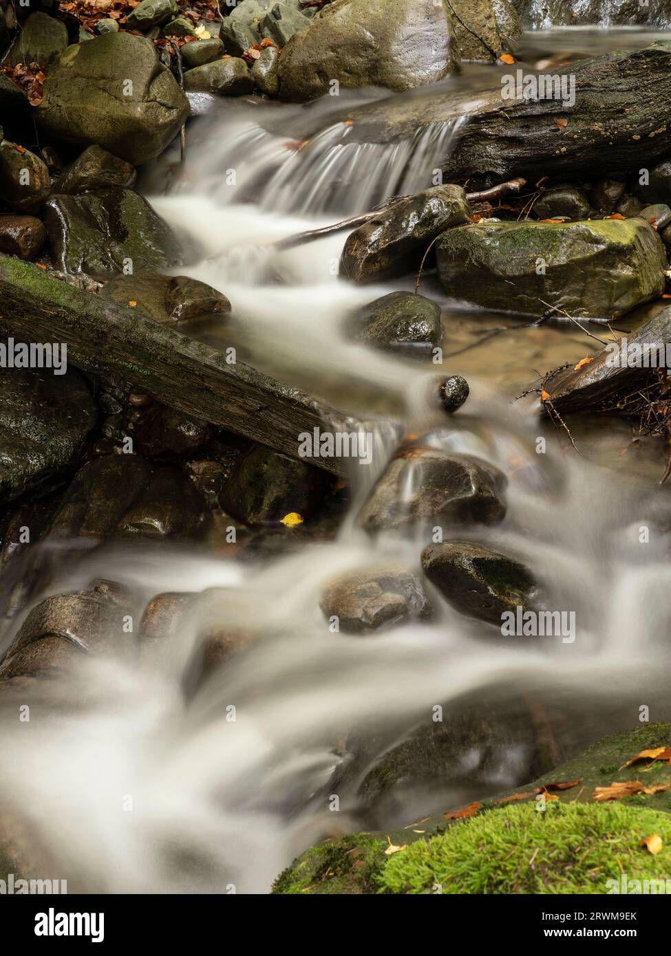 Rapide e cascate sul fiume Garry al passo di Killiecrankie, Pitlochry, Highland Perthshire, Scozia, Regno Unito Foto Stock