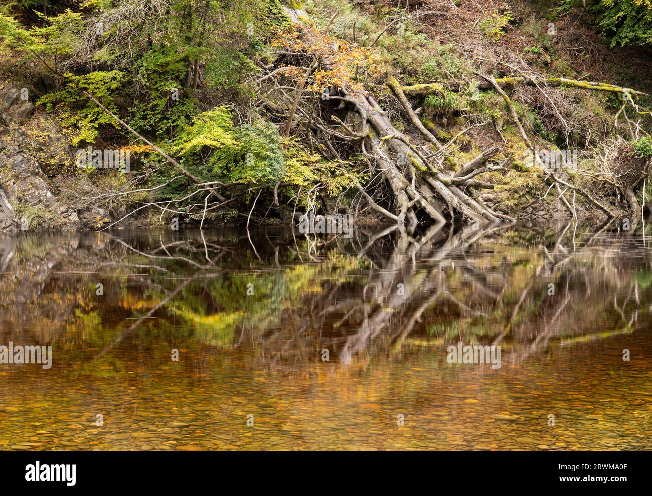 Rapide e cascate sul fiume Garry al passo di Killiecrankie, Pitlochry, Highland Perthshire, Scozia, Regno Unito Foto Stock