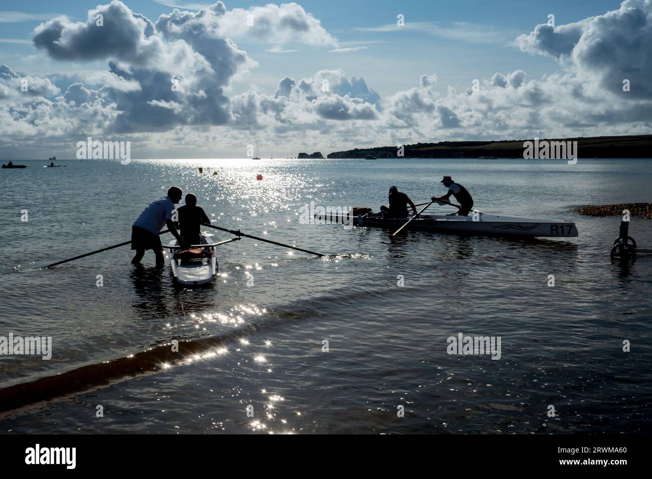 Europa, Regno Unito, Inghilterra, Dorset, Studland, vogatori costieri Foto Stock