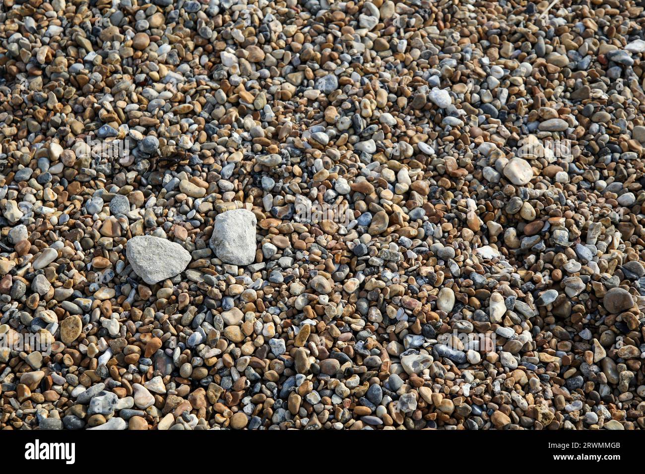 Pebbles on Brighton Beach, Inghilterra Foto Stock