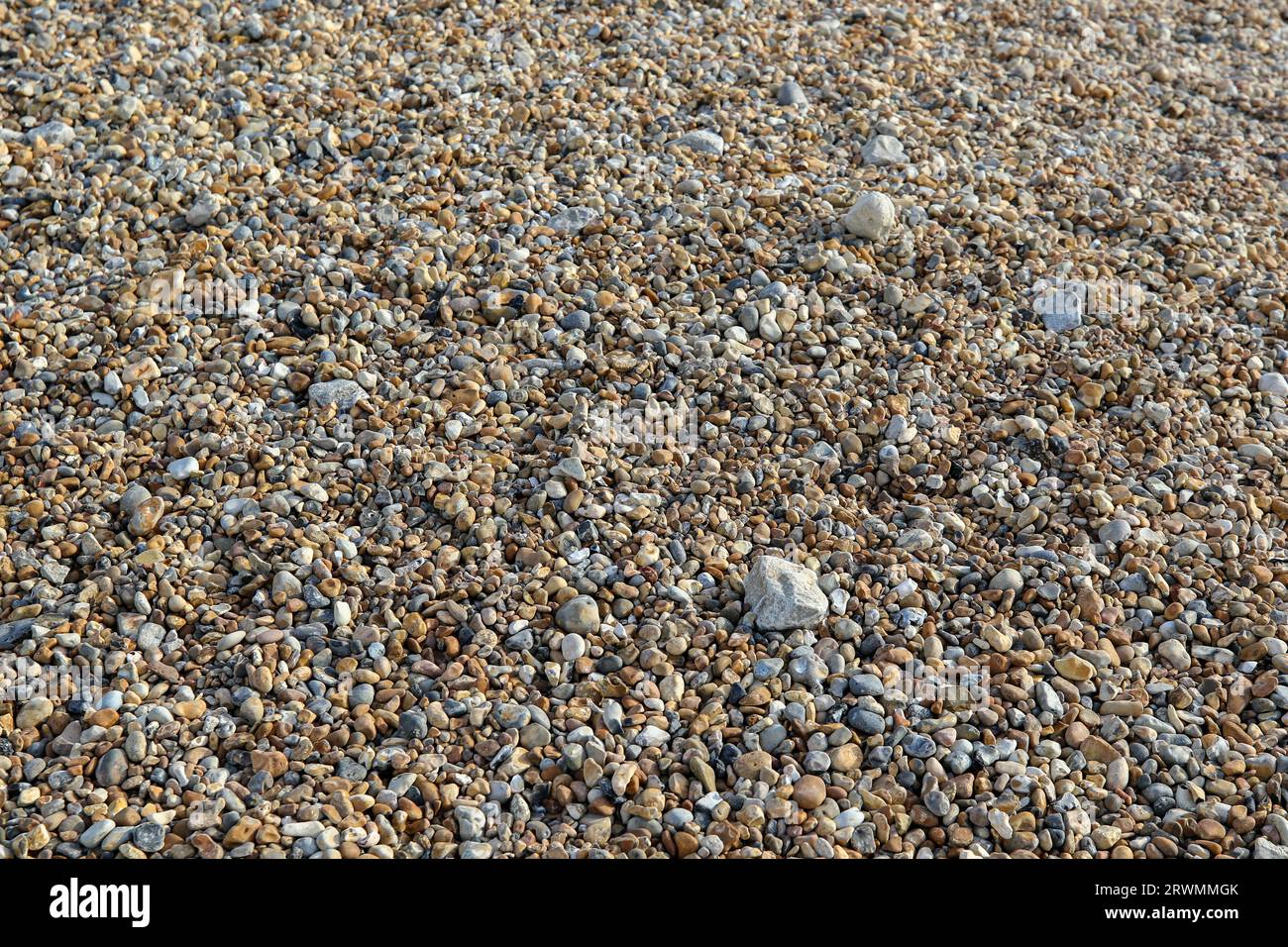 Pebbles on Brighton Beach, Inghilterra Foto Stock