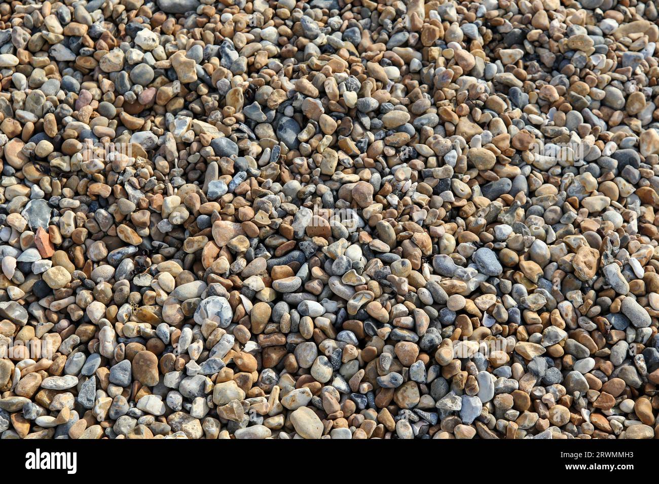 Pebbles on Brighton Beach, Inghilterra Foto Stock