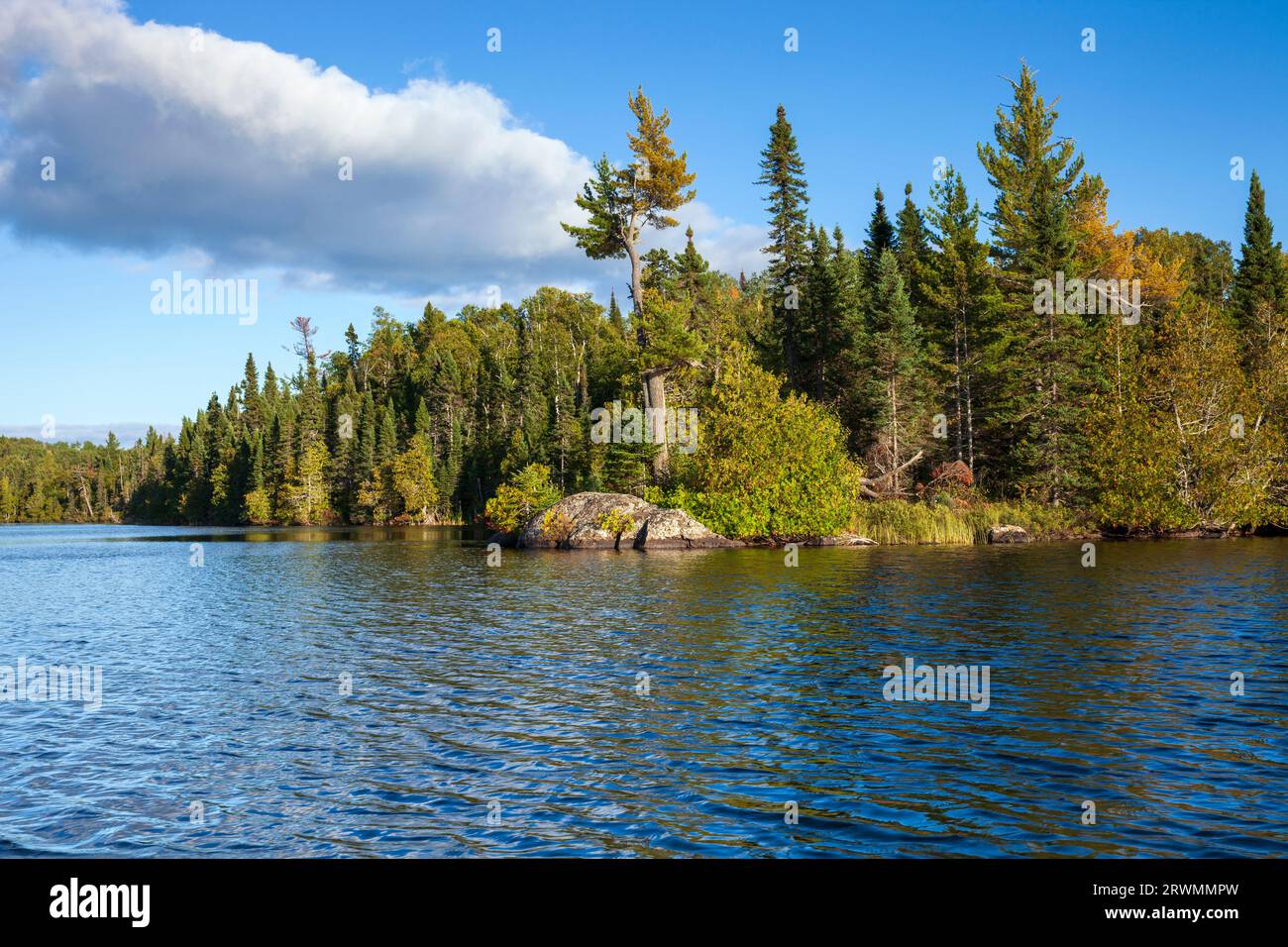 Lago nel Minnesota settentrionale con rocce e pini lungo la costa Foto Stock