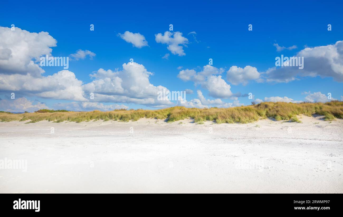 Erba sulle dune, spiaggia di sabbia bianca. Vista panoramica di le spiagge bianche, destinazione di viaggio a vada, Rosignano marittimo, regione Toscana, Italia Foto Stock