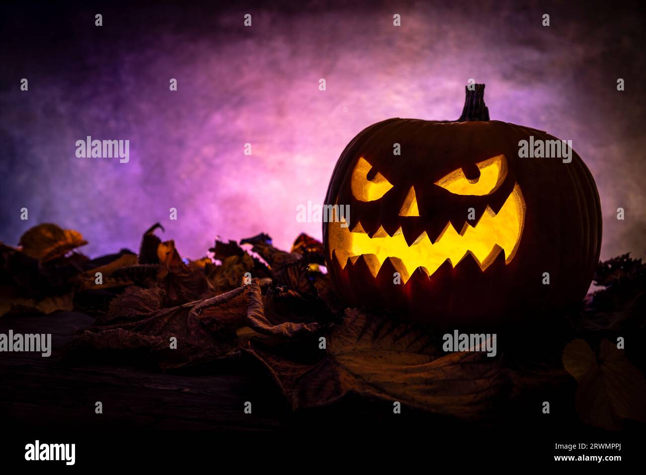 zucca di halloween scolpita con foglie secche e sfondo viola Foto Stock