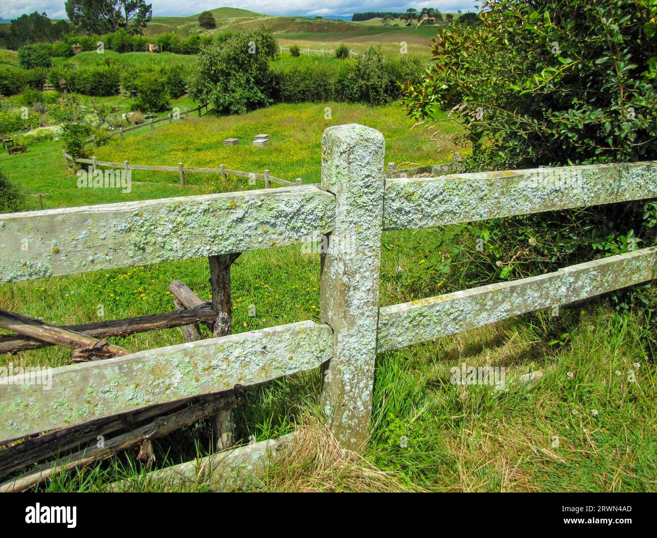 Finto recinto di legno ricoperto di licheni creato dallo yogurt ammuffito presso l'attrazione turistica del set cinematografico di Hobbiton in una fattoria vicino a Matamata, nuova Zelanda Foto Stock