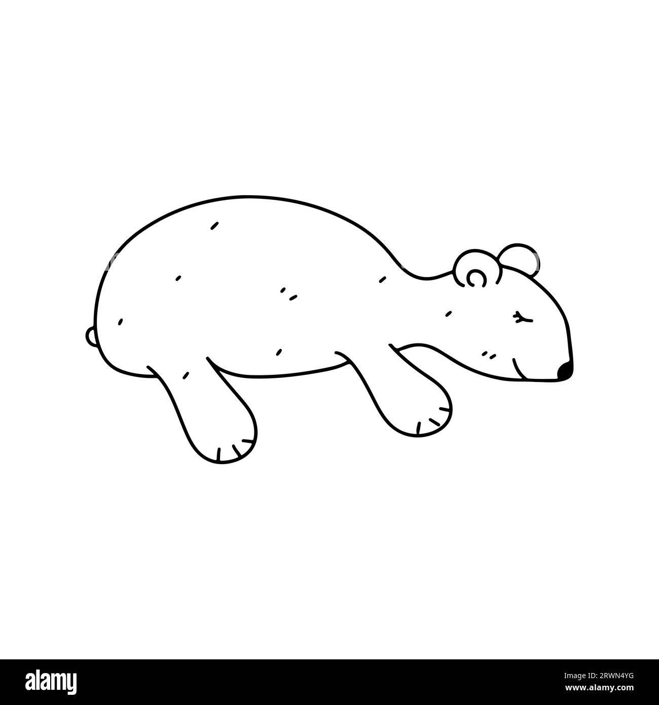 Grazioso piccolo orso polare. Stile doodle disegnato a mano. Illustrazione vettoriale isolata su bianco. Pagina da colorare. Illustrazione Vettoriale