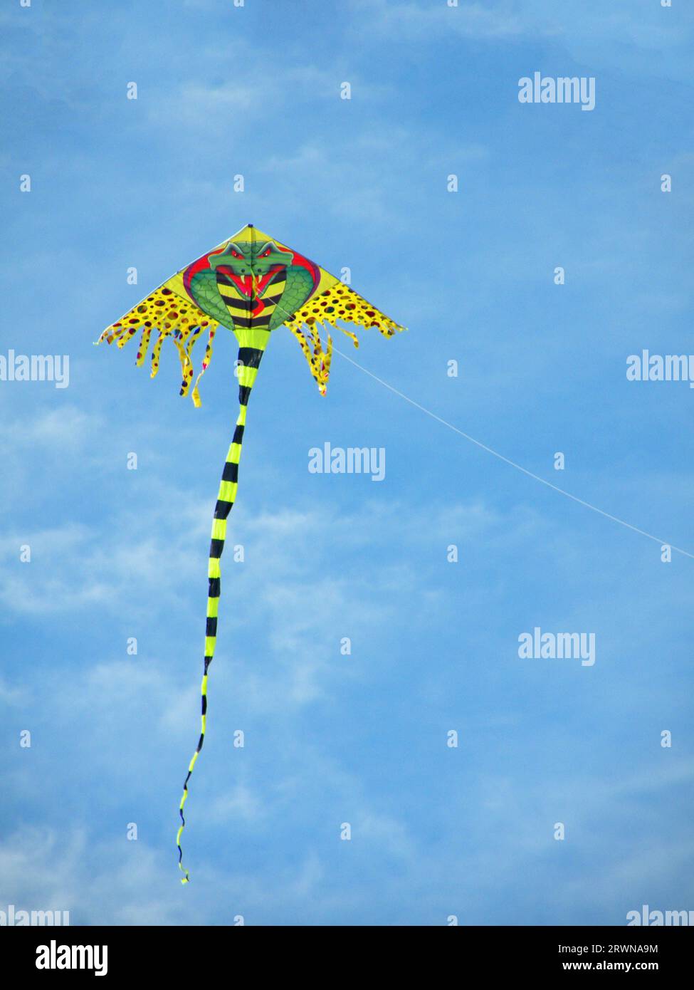 Aquilone colorato con immagine serpente Foto Stock