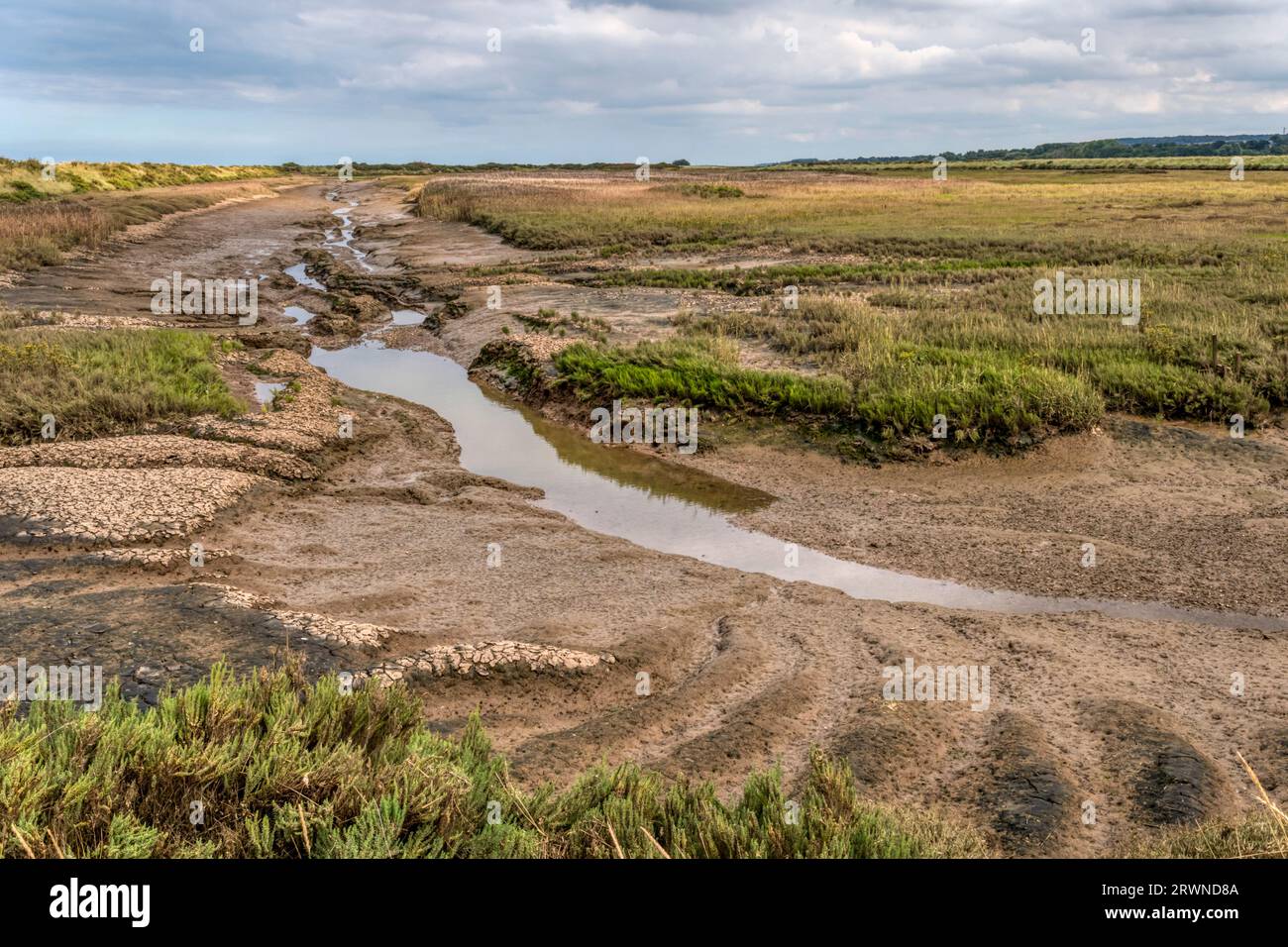 Paludi costiere del Norfolk settentrionale presso Volunteer Marsh, nella riserva ornitologica RSPB Titchwell Marsh. Foto Stock