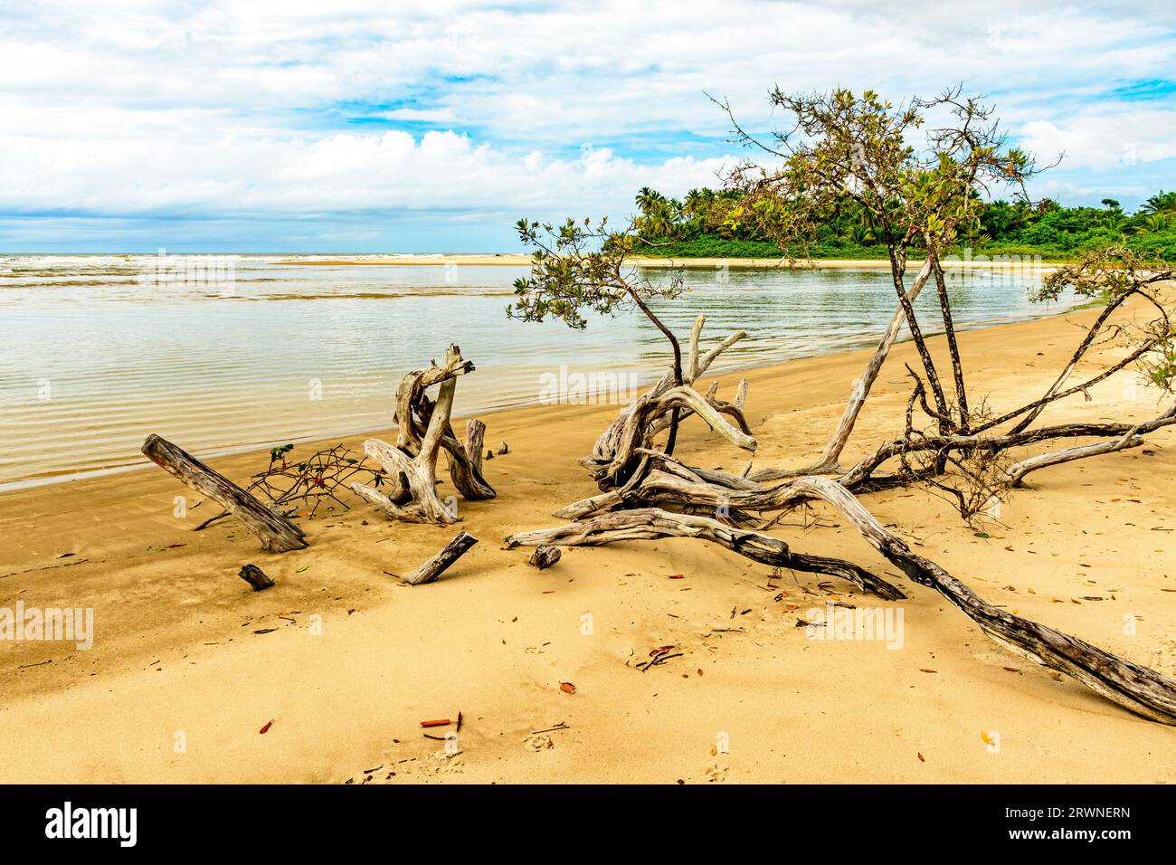 Splendida e remota spiaggia circondata da maggrovie a Serra grande, sulla costa meridionale di Bahia Foto Stock