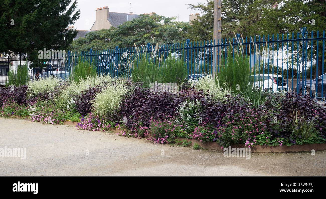 Letto perimetrale al Jardin des plantes St Nazaire Foto Stock