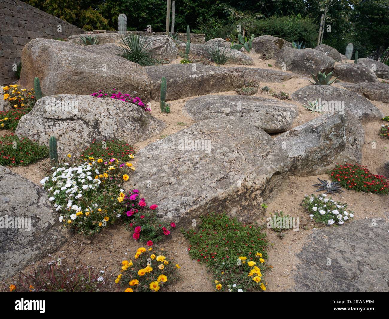 Succulento giardino di roccia nel Jardin des Plantes St Nazaire Foto Stock