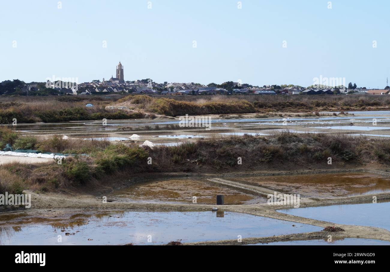 Saline a Kervalet, Batz sur Mer Foto Stock