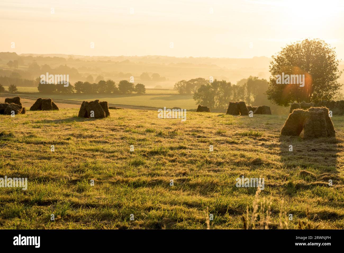 Il sole sorge in una mattinata nebbiosa su un campo agricolo pieno di balle di fieno , Peak District Derbyshire Inghilterra Regno Unito Foto Stock